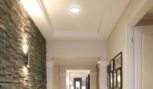 Luminaire plafonnier traditionnel DEL Standard 64154 éclairant une entrée avec mur de brique et cadres